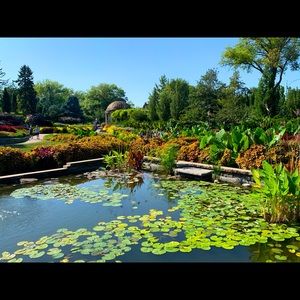 Meet your Posher, Logan